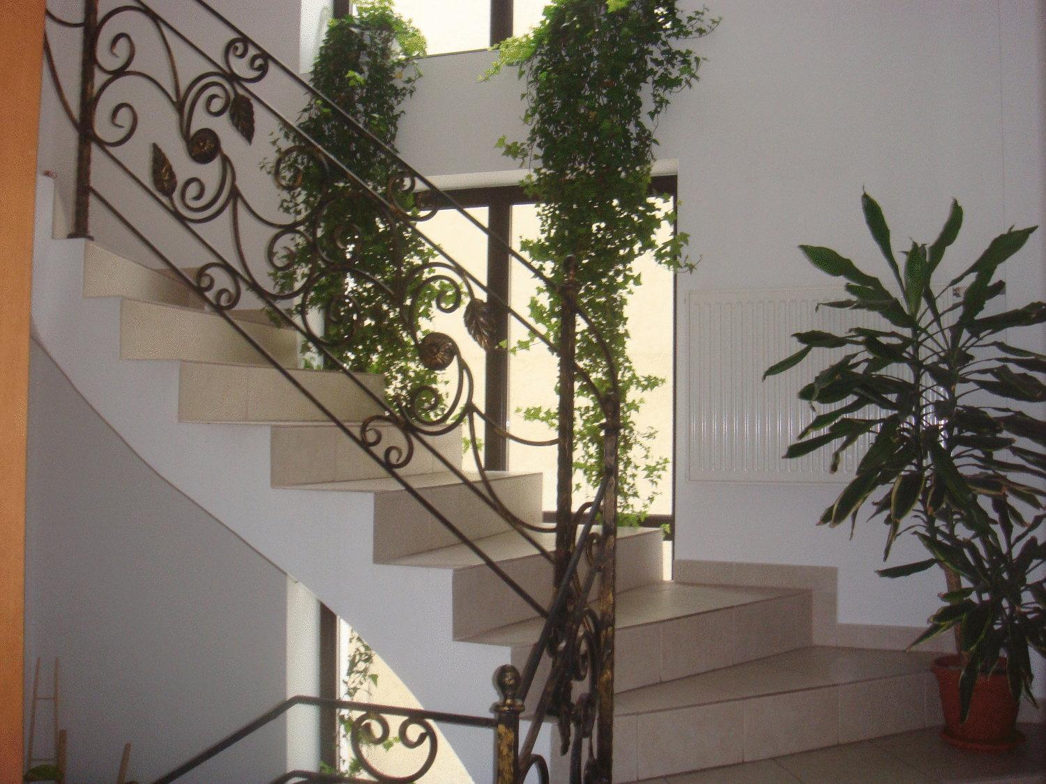 Villa Edera Residence - Gazda Profesionista Bükreş Dış mekan fotoğraf